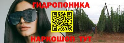 apvp Татарск
