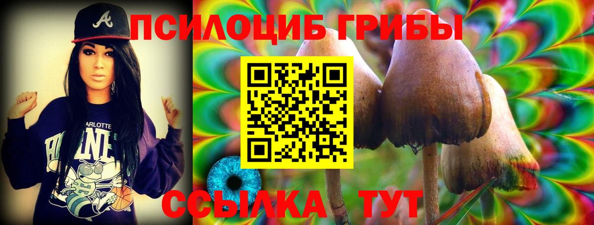 Галлюциногенные грибы мухоморы  Вход с VPN  Борзя 